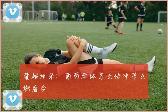 葡超绝杀：葡萄牙体育长传冲吊点燃看台