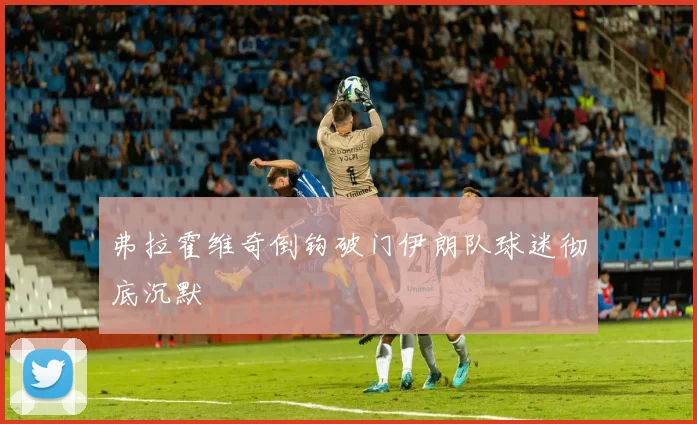 弗拉霍维奇倒钩破门伊朗队球迷彻底沉默
