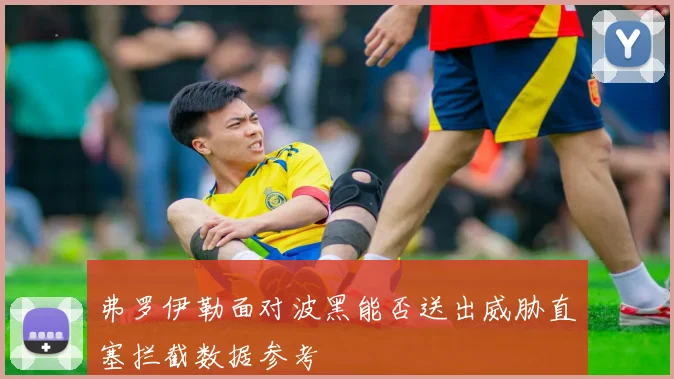 弗罗伊勒面对波黑能否送出威胁直塞拦截数据参考