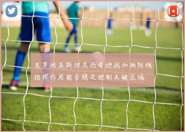 克罗地亚斯坦尼西奇迎战加纳防线指挥作用能否稳定控制关键区域