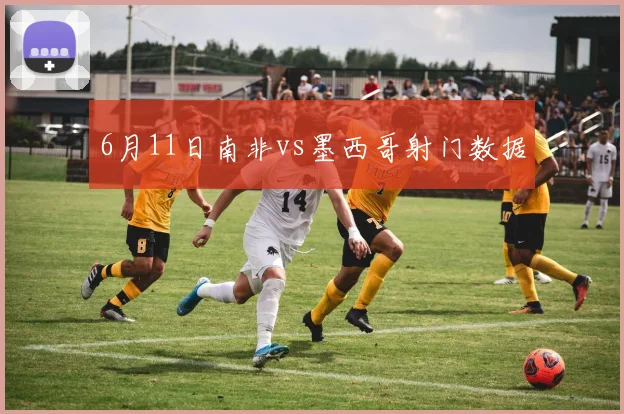 6月11日南非vs墨西哥射门数据