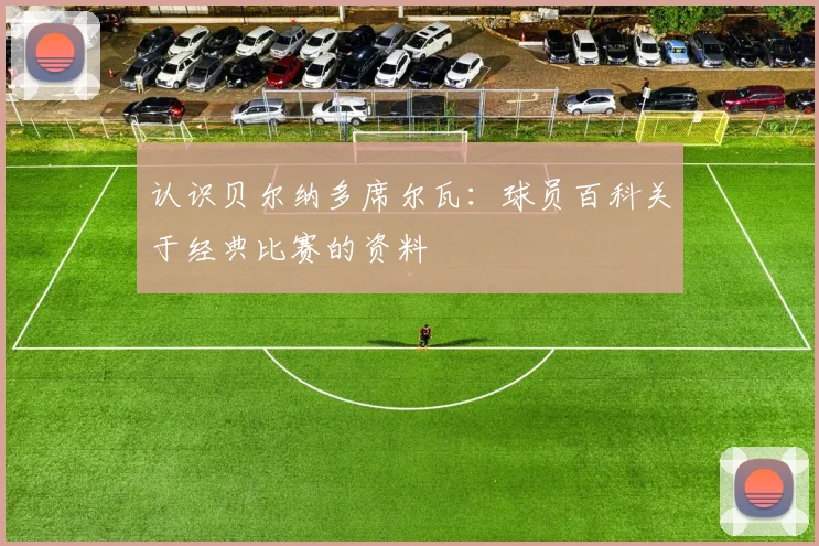 认识贝尔纳多席尔瓦：球员百科关于经典比赛的资料